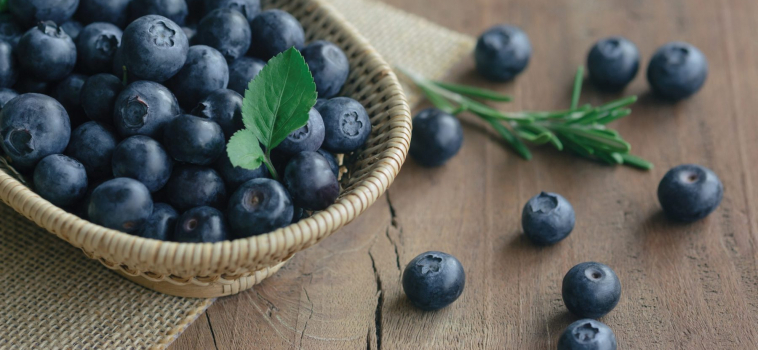 Blueberry Benefits